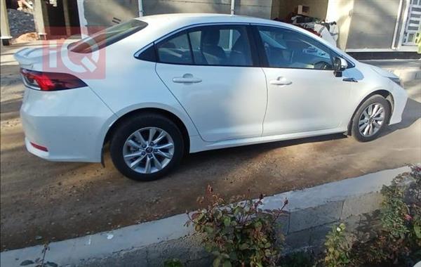 Toyota for sale in Iraq